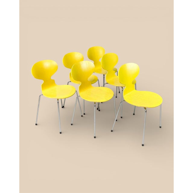 Model 3101 The Ant Chairs by Arne Jacobsen for Fritz Hansen, 1970s, Set of 6 For Sale - Image 9 of 9