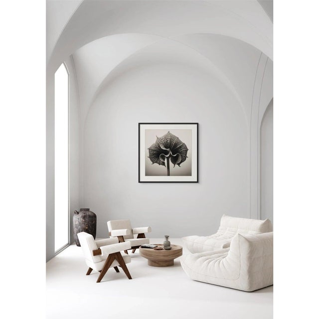 Contemporary # 20' X 20' 'Asplenium Scolopendrium' Flower - Black and White Limited Edition Botanical Photograph Print, Organic Modern, Unframed For Sale - Image 3 of 5