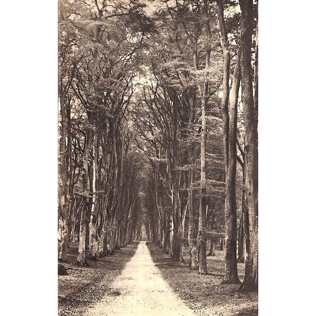 "The English Landscape" 1938 Beach-Thomas, Sir William For Sale In New York - Image 6 of 9