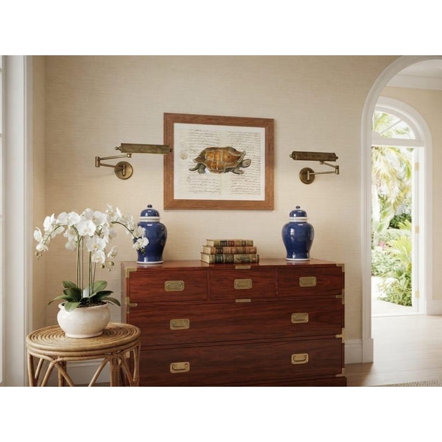 Vintage Natural History Turtle Illustration Framed Print For Sale - Image 9 of 12