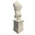 1980s 7' Tall Renaissance Style Male Bust Faux Marble Sculpture on Pedestal For Sale - Image 5 of 8