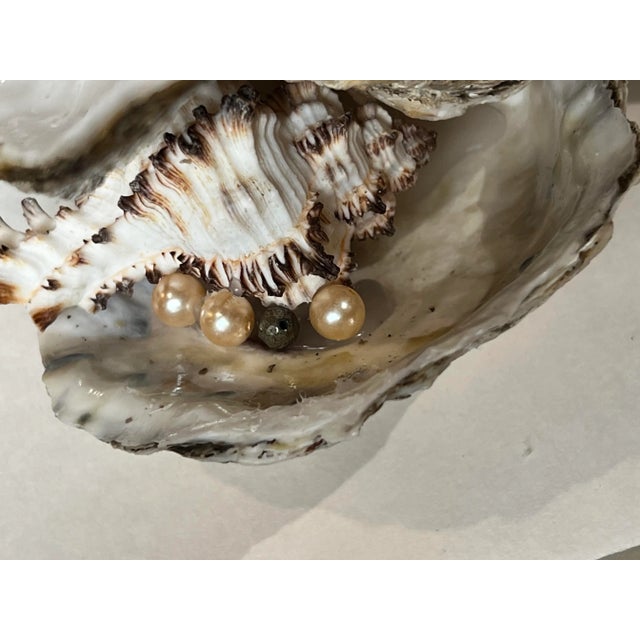 Oyster Shell and Salt Water Shell Centerpiece Table Decor For Sale In Chicago - Image 6 of 13