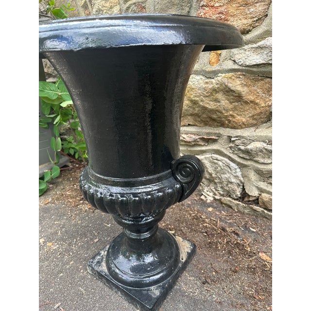 Metal Late 20th Century Cast Iron Haddo House Urn in the Style of William Adam of Scotland For Sale - Image 7 of 14