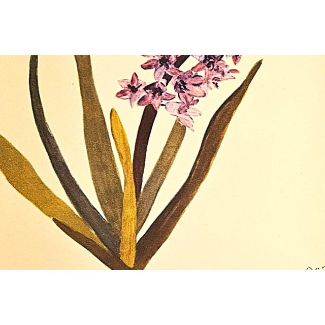 1940 Set of 3 Mid-Century French Arlette Davids Botanical Prints- Hyacinths, Lily For Sale In New York - Image 6 of 10