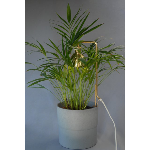Model G98 Flower Lamp by Hans-Agne Jakobsson for HAJ Markaryd, 1960s For Sale - Image 10 of 14