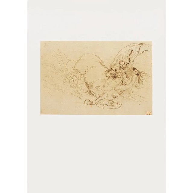 A rare beautiful vintage photogravure after pencil drawing "Tiger Mauling a Wild Horse" (1828) by Eugene Delacroix...