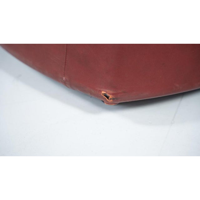 Cyprea Armchair in Leather attributed to Afra and Tobia Scarpa for Cassina, 1970s For Sale - Image 3 of 14