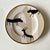 The exclusive collaboration between the traditional German porcelain manufacturer Rosenthal and the Italian luxury house...