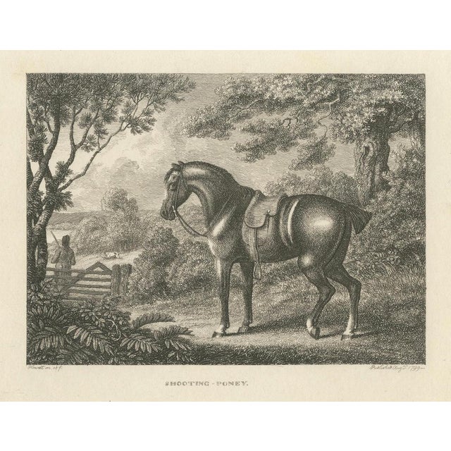 Samuel Howitt, Shooting Pony, 1799, Engraving For Sale - Image 4 of 10