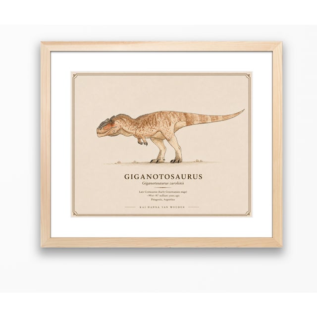 Atelier Aria Lumae Kai Hanna Van Wouden Giganotosaurus Carolinii Original Scientific Watercolor Fine Art Cotton Rag Gallery Board Print 20 X 16 For Sale - Image 14 of 15