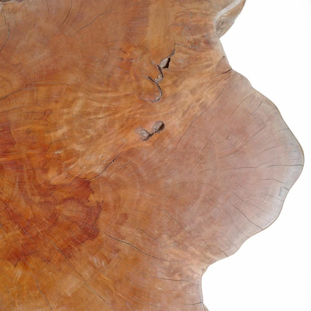 Chestnut Lychee Stump Coffee Table For Sale - Image 4 of 5