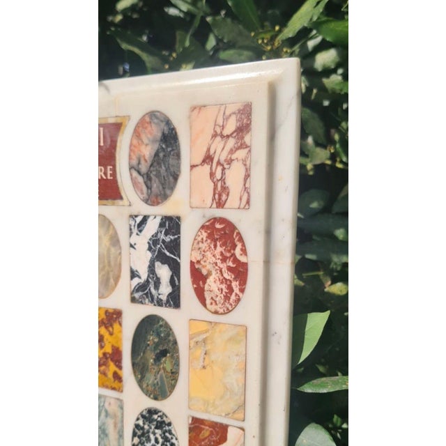 Stone Inlaid Antique Marble Specimens, Late 19/Early 20c For Sale - Image 7 of 8