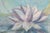 Evelyne Luez, Water Lilies, 20th Century, Oil Painting on Canvas For Sale - Image 4 of 6
