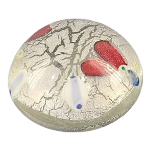 Vintage Late 20th Century Murano Art Glass Silver Leaf Red & Blue Paperweight Original Label