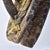 Early 20th Century Dan, Wee, Kran, Guerre Guere Mask on Stand For Sale - Image 14 of 15