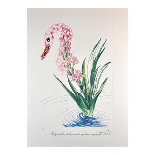 1970s Dali Florals Water-Hybiscus Swan Hand Signed Number Etching Surreal Art For Sale
