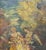 Adolphe Monticelli (1824–1886), Signed Oil on Canvas, Three Ladies in a Park & Expert Certificate For Sale - Image 4 of 12