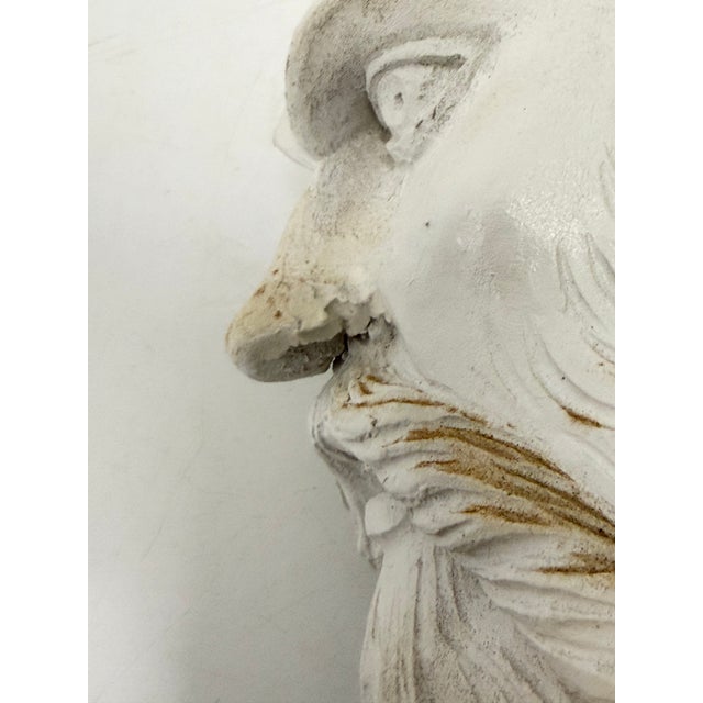 Vintage Plaster Reproductions of 4 Heads From the Wawel Collection, Poland - Set of 4 For Sale - Image 17 of 17