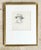 1977 Priscilla Treacy, Hommage à Rembrandt Framed Original Pencil Portrait Study Original pencil-on-paper portrait study...