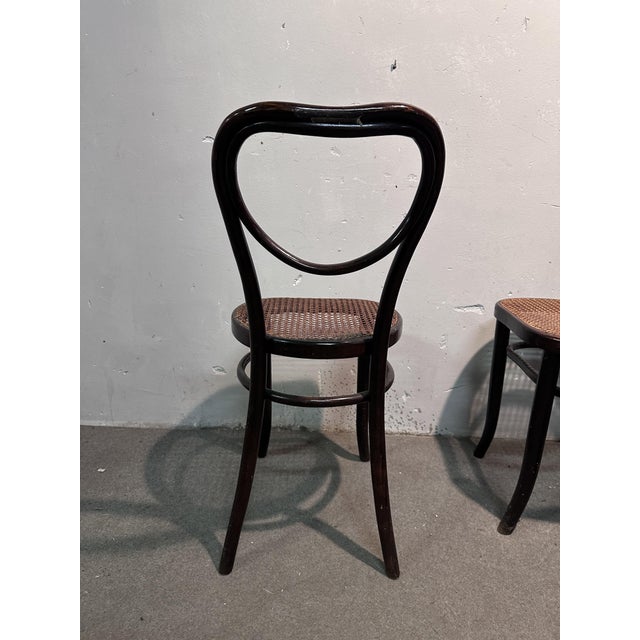 Mondus Chairs from Thonet, Set of 4 For Sale - Image 4 of 7