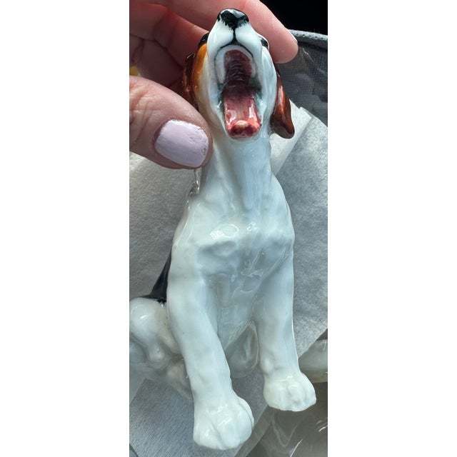 Royal Dalton Dog For Sale In Cleveland - Image 6 of 10