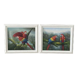 1970’s Pair Coastal Tropical Framed Parrot Paintings
