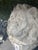 This vintage concrete lion head is durable and made to be outdoors. Perfect as a decorative focal point, it brings a...