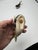 Coastal Vintage Whale Salt and Pepper Shakers For Sale - Image 3 of 6