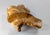 19th Century American Folk Art Alabaster Fragment Carving Boy & Girl on Swing For Sale - Image 9 of 10