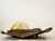 Monumental Sculptural Bronze Wall Lamp 1960s For Sale - Image 10 of 17
