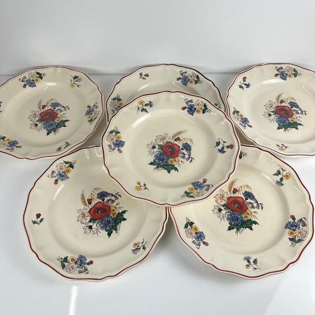 Ceramic 20th Century Flat Semi-Deep Agreste Plates from Sarreguemines, 1930s, Set of 6 For Sale - Image 7 of 11