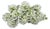 White Green Floral Napkin Ring - Set of 10 For Sale