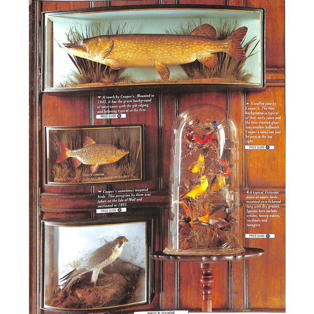 "Sporting Pastimes" Book 1990 Curtis, Anthony For Sale - Image 11 of 12