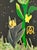 This original multi-layered collage on wood panel features a stylized male figure and his leopard friend in a jungle of...