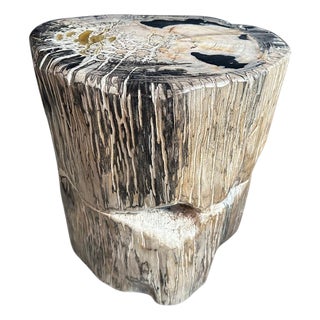 Andrianna Shamaris Ancient Sculptural Petrified Wood Side Table For Sale