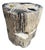 Andrianna Shamaris Ancient Sculptural Petrified Wood Side Table For Sale