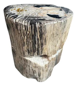Andrianna Shamaris Ancient Sculptural Petrified Wood Side Table