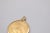 Minimalism 18k Gold 1901 Liberty Five Dollar Coin Pendant For Sale - Image 3 of 9