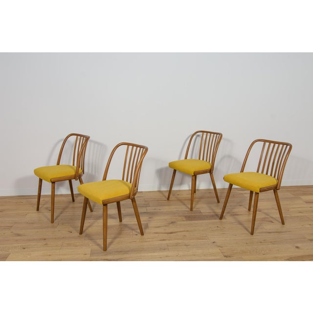1960s Dining Chairs by Antonín Šuman for Ton, 1960s, Set of 4 For Sale - Image 5 of 18