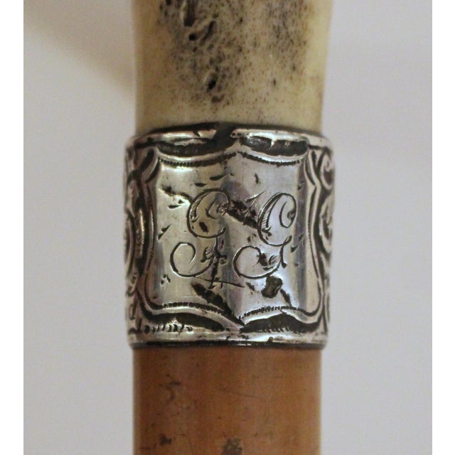 Late 19th Century 1876 English Malacca, Sterling, & Antler Walking Stick For Sale - Image 5 of 6