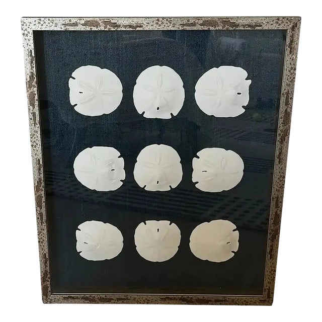 Large Silver Framed Indigo Ralph Lauren Raffia Coastal Sand Dollar Picture From Barclay Butera For Sale