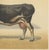 After Charles Olivier de Penne, Dutch Dairy Cow, Black and White Cattle, 1863, Chromolithograph For Sale - Image 6 of 9