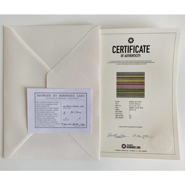 Photography "Praias_De_Formas_004", Limited Edition Fine Art Photograph Print by Bernhard Lang For Sale - Image 7 of 7