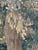 18th Century Aubusson Rest in the Forest Tapestry For Sale - Image 17 of 18