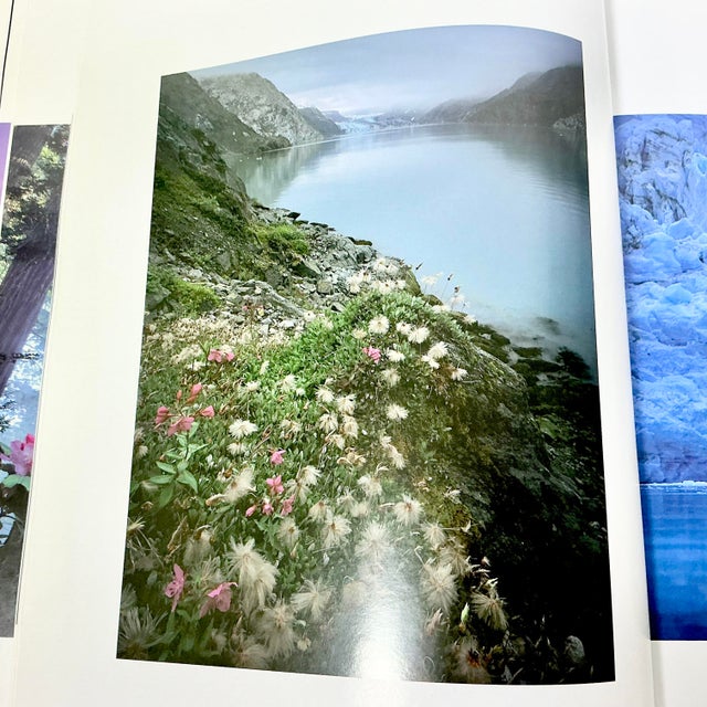 Paper 1993 Vintage Americana ‘National Parks of America’ Coffee Table Book. For Sale - Image 7 of 18