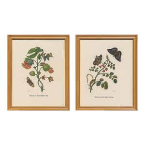 Pair of Italian Hand-Colored Botanical Engravings With Butterflies, Florence Italy