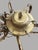 Brass Phoenix Day French Horn Custom Solid Brass Chandelier For Sale - Image 8 of 11