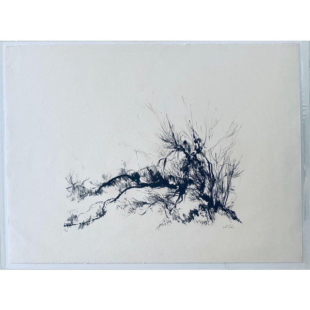Black Anna Ticho, German Israeli Expressionist Abstract Bush in Judea Lithograph For Sale - Image 8 of 8
