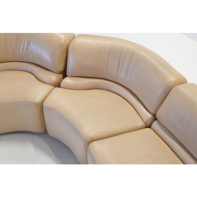 Animal Skin Swiss Cosmos Element Sofa from De Sede, 1970s, Set of 5 For Sale - Image 7 of 9
