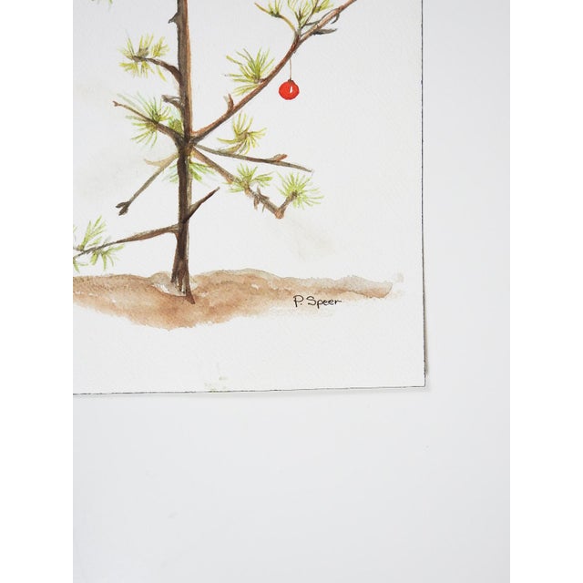 Early 21st century watercolor on paper painting of a sparse Christmas tree with a single red ball ornament. Signed P Speer...